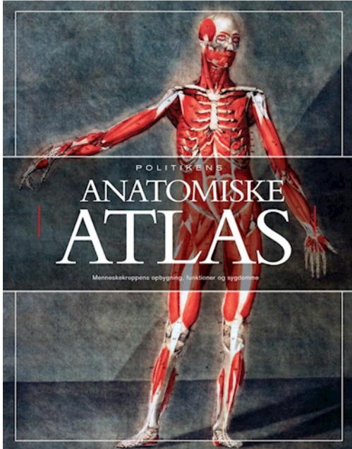 Atlas anatomiczny to świetny sposób na naukę duńskiego medycznego